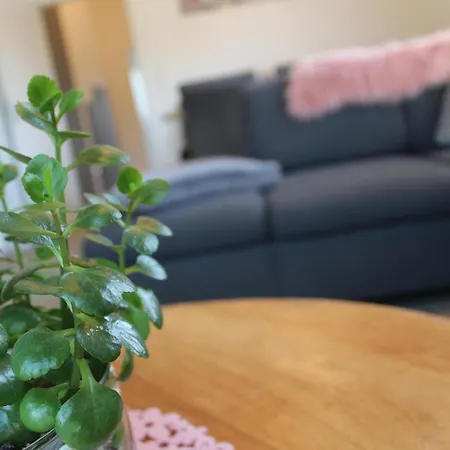 Holiday home Seehuis, Sauna, Angeln, Familienfreundlich